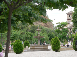 generalife rose