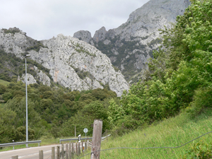 PICOS DE EUROPA